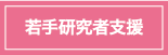 若手研究者支援