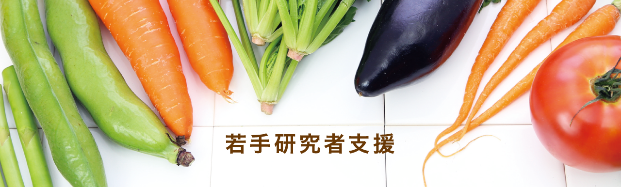 若手研究者支援